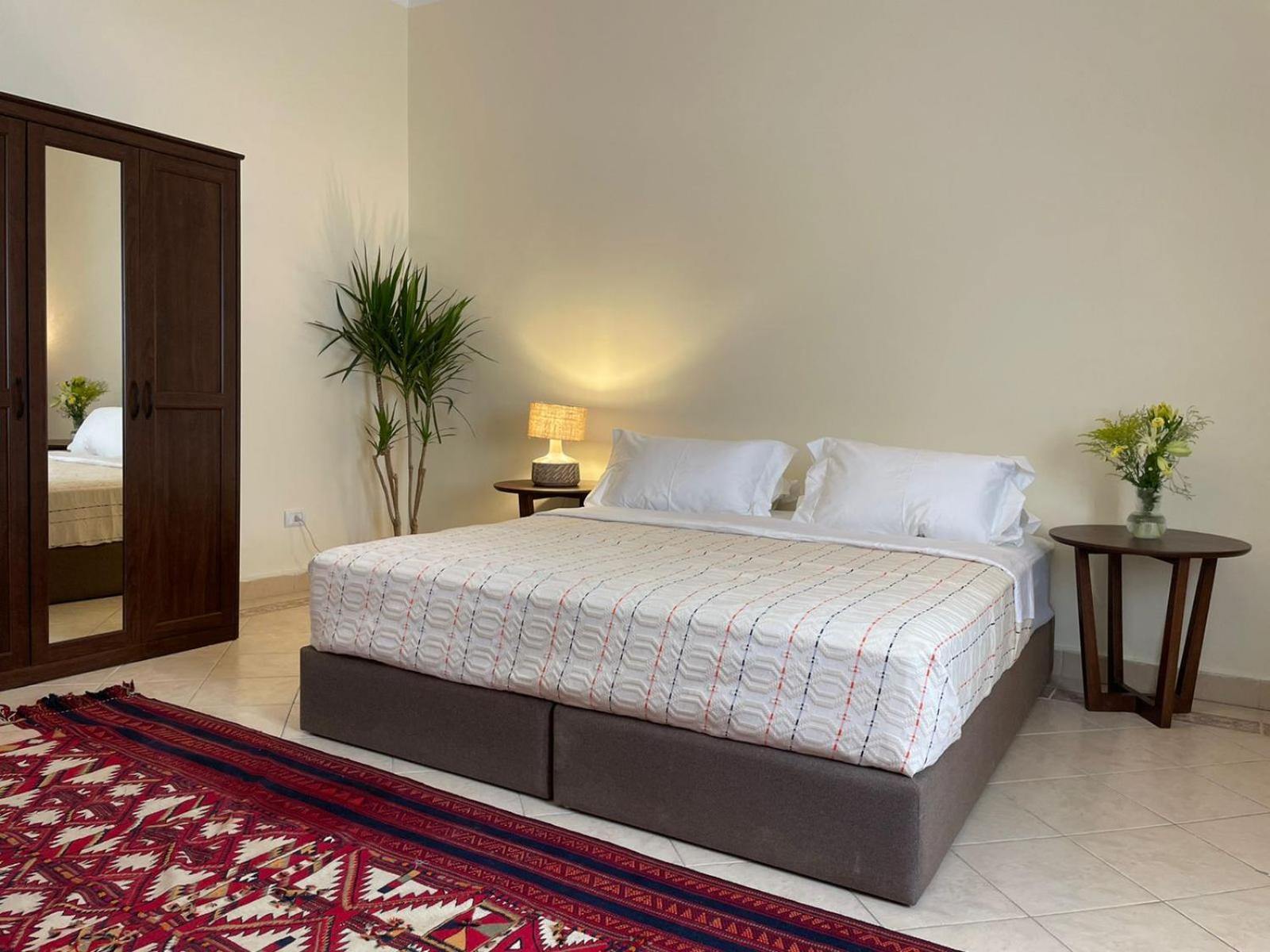 Luxury On The Nile - Zamalek Apartments Il Il Cairo Esterno foto